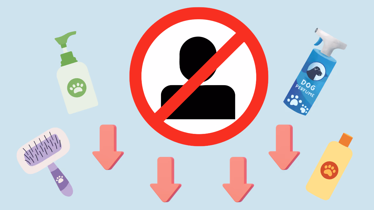How to Reduce No-Shows in Your Grooming Salon