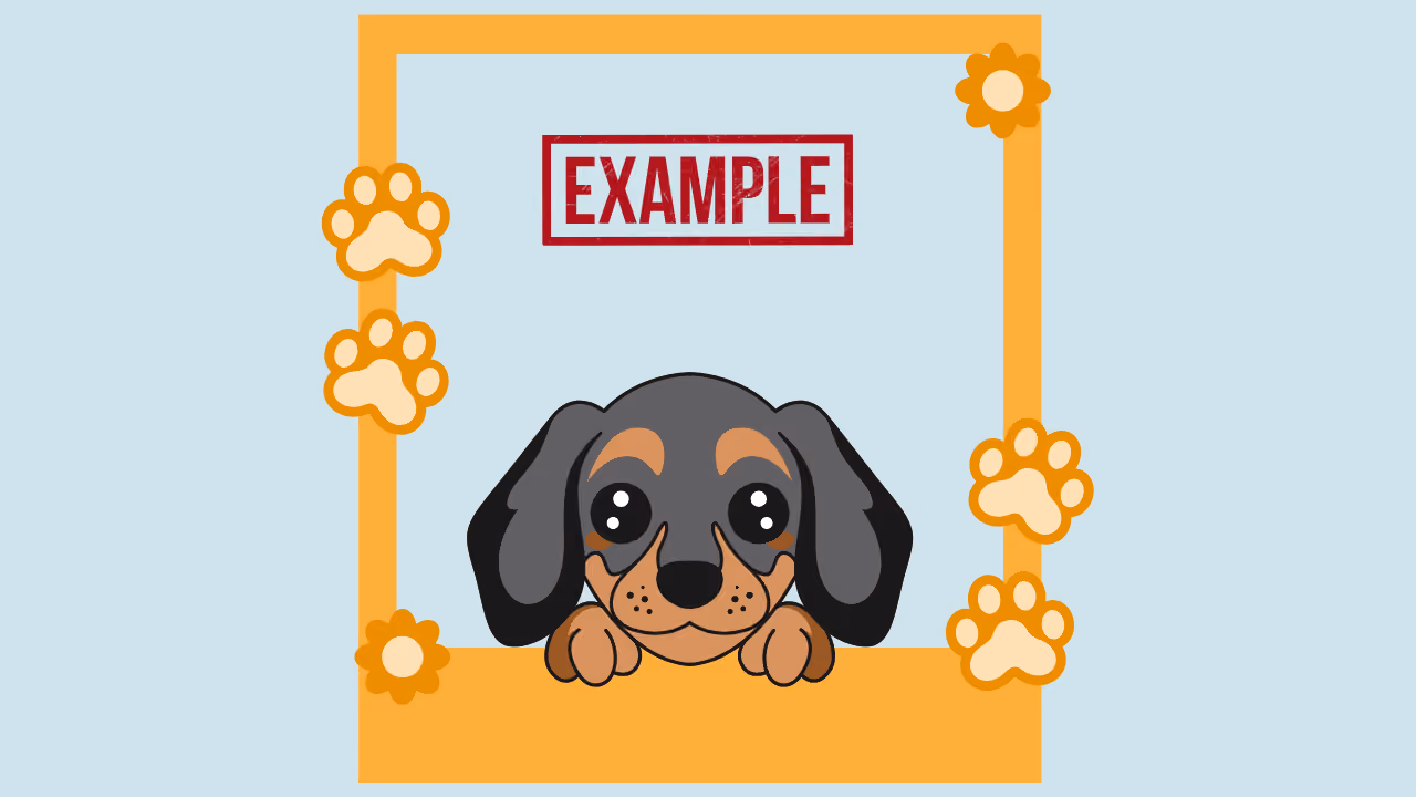 Pet Grooming Photo Release & Behavior Documentation Template
