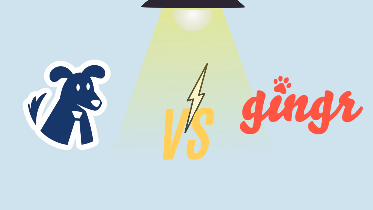  Teddy vs Gingr: Which Fits Your Shop?