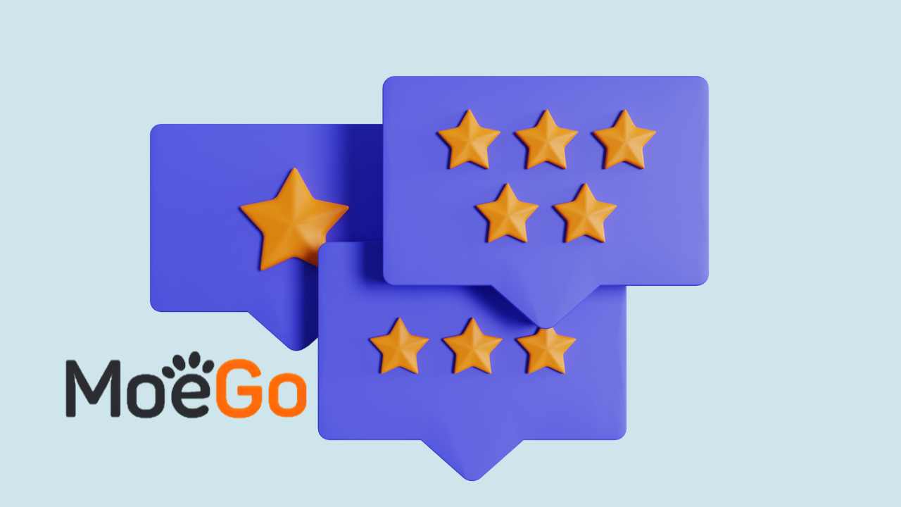 MoeGo Review 2026: Pros, Cons & Pricing