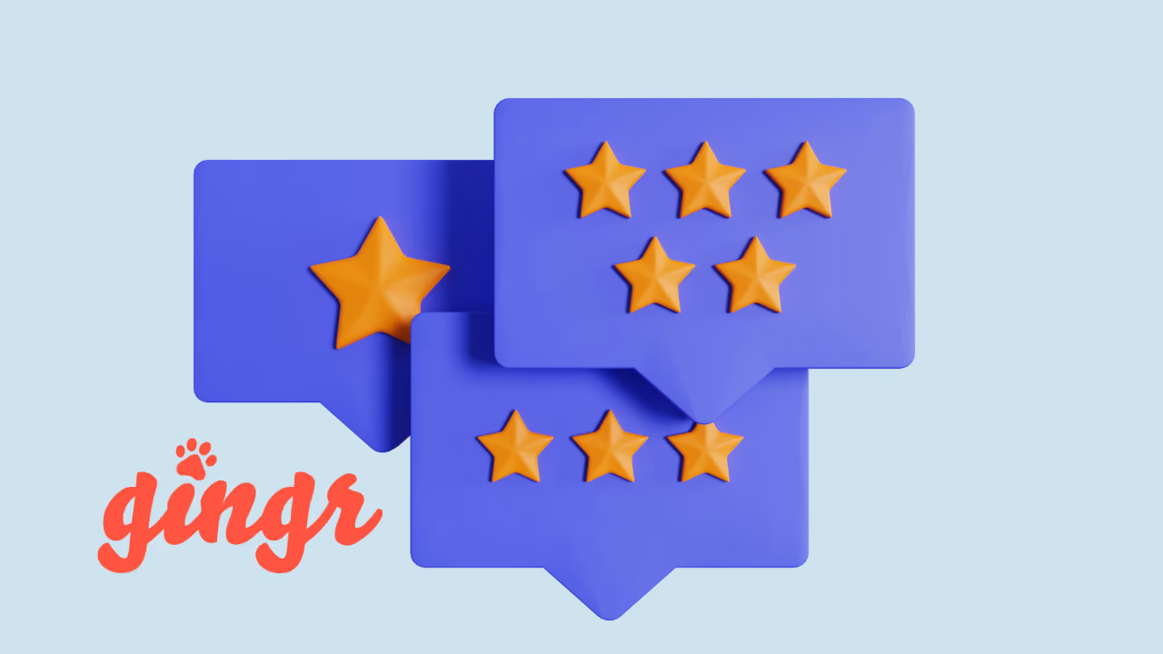 Gingr Review 2026: Pros, Cons & Pricing