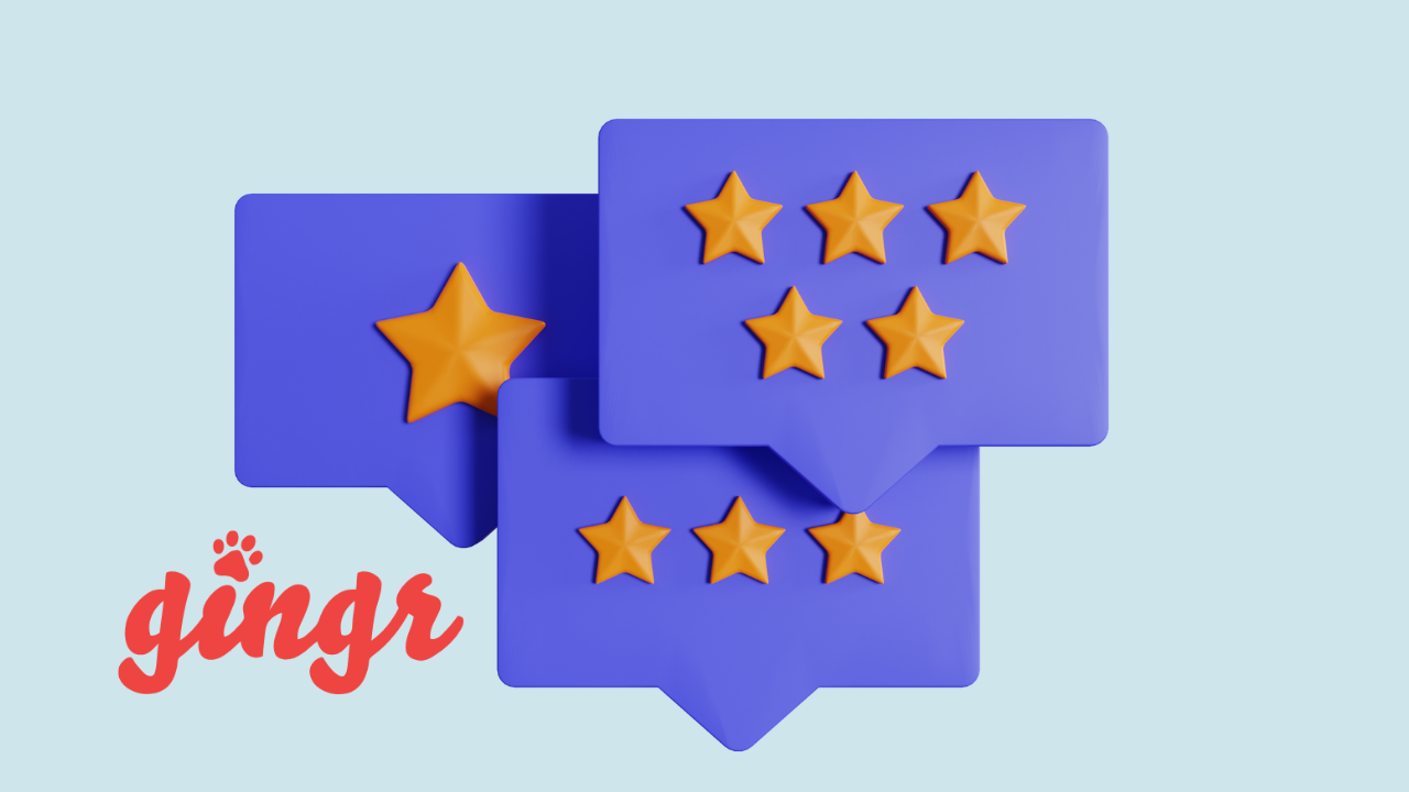 Gingr Review 2026: Pros, Cons & Pricing