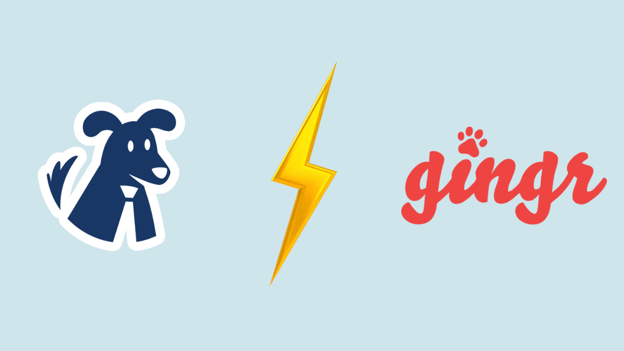 Teddy vs Gingr: Best Grooming Software for 2026?