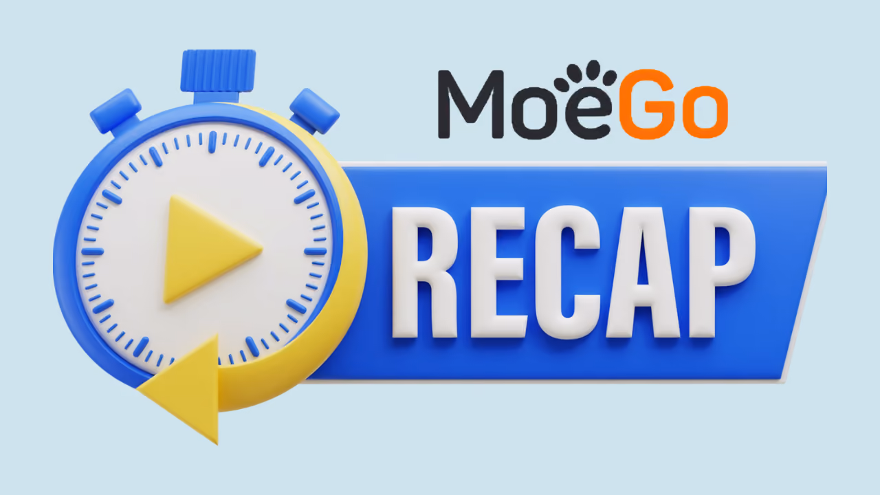 MoeGo Review 2026: Features, Pricing, and Verdict