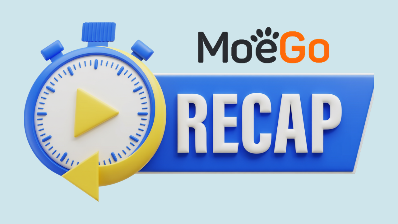 MoeGo Review 2026: Features, Pricing, and Verdict