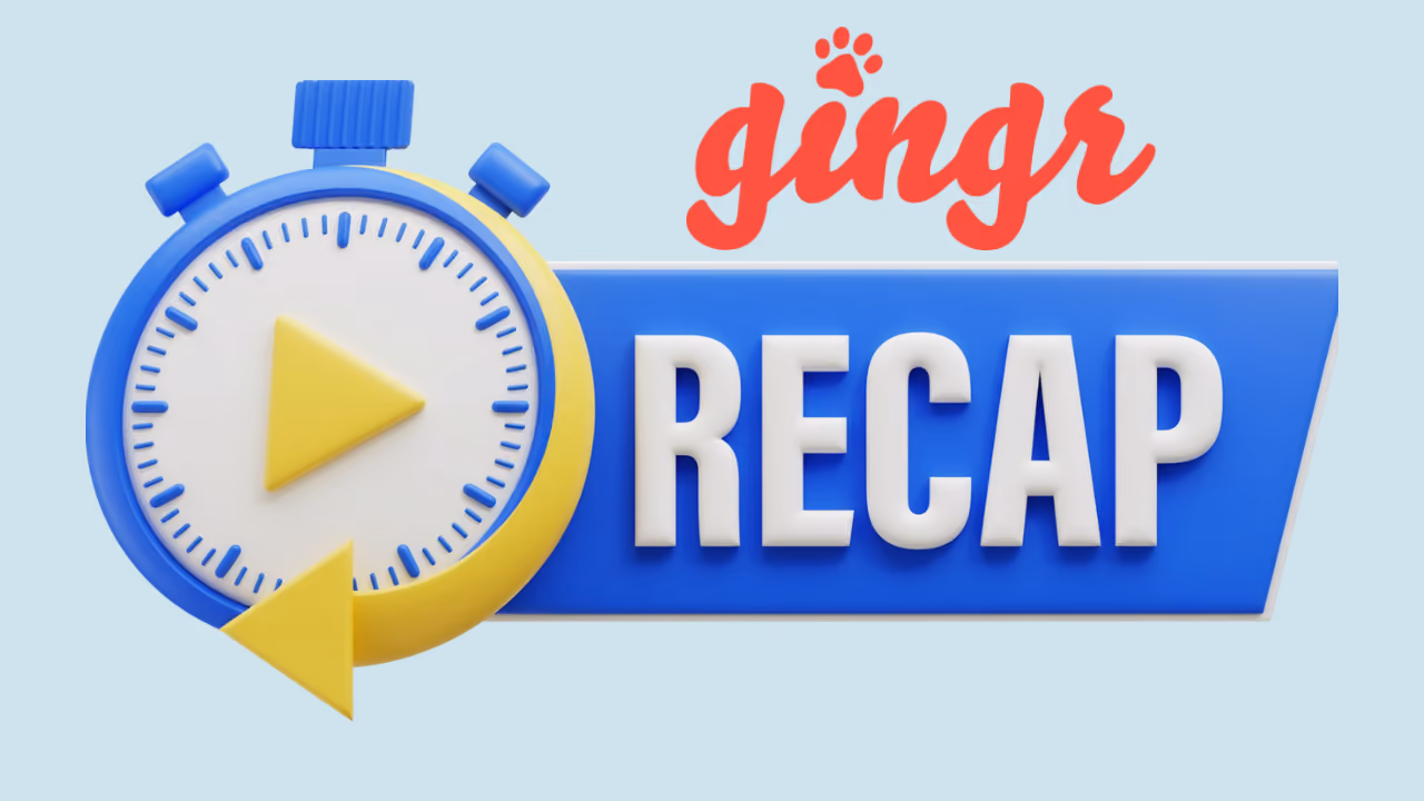 Gingr Review 2026: Features, Pricing, and Verdict