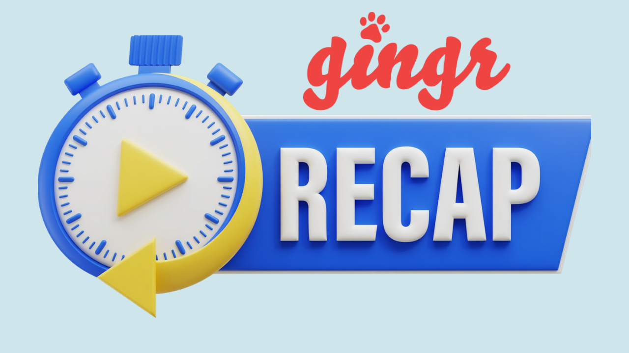 Gingr Review 2026: Features, Pricing, and Verdict