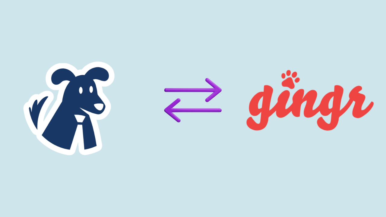5 Best Gingr Alternatives for Groomers