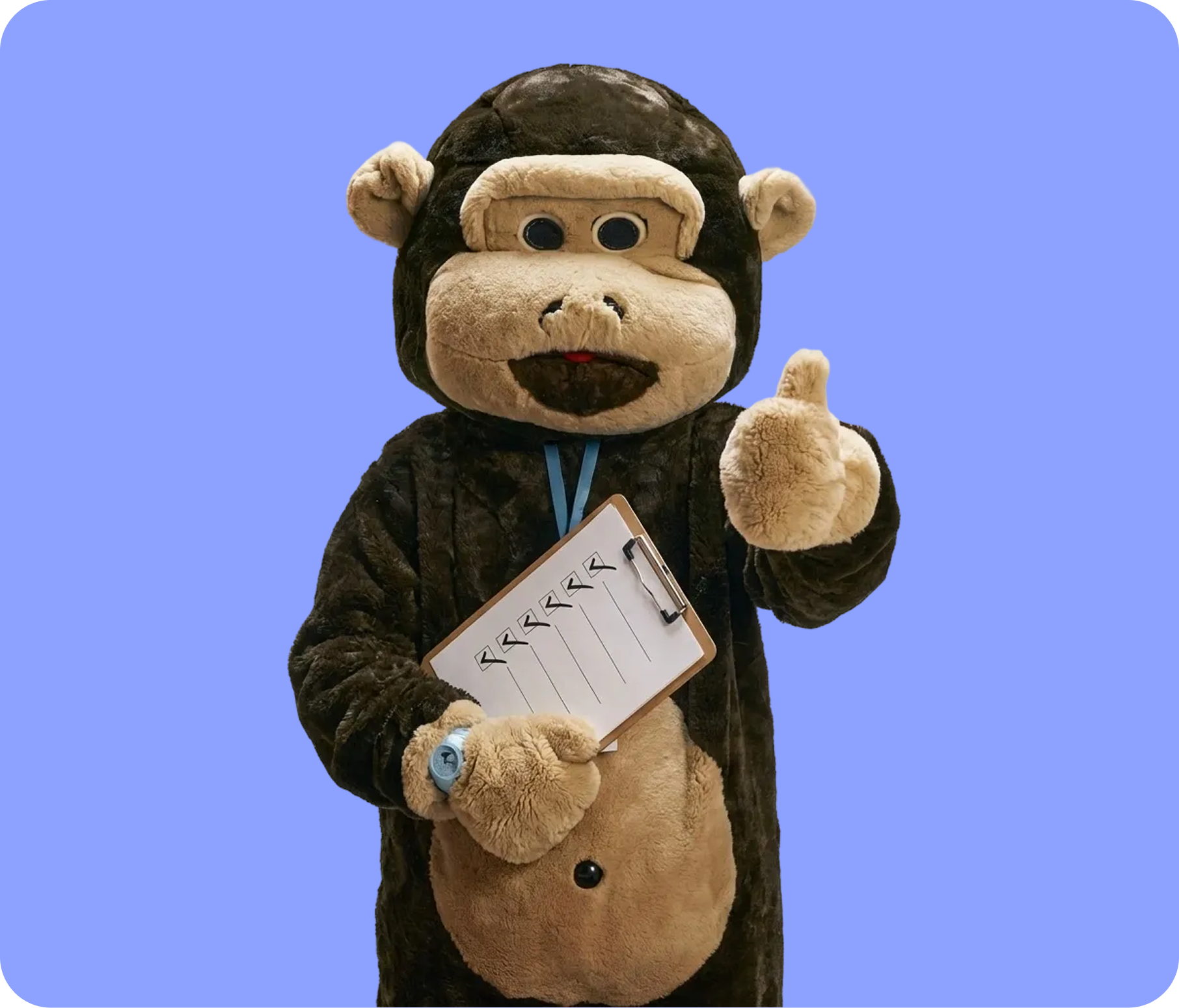 TimeChimp monkey wbso subsidie