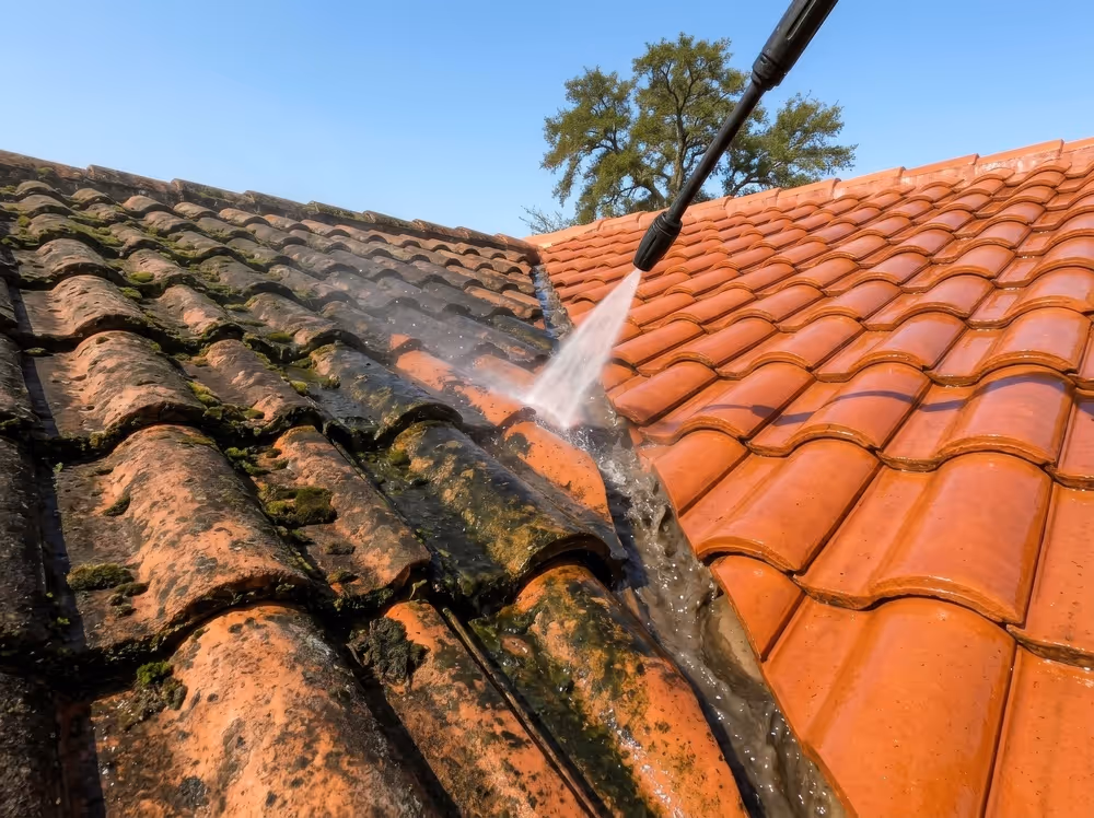 Roof moss removal.