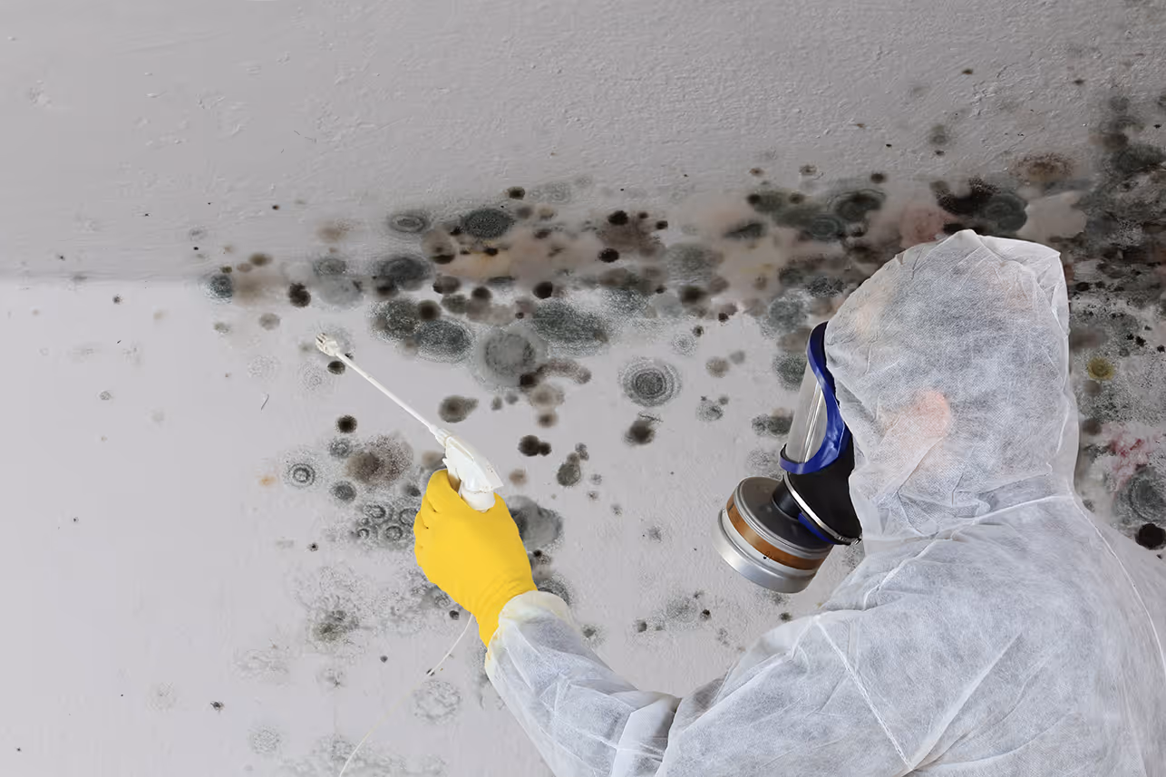 Wait! How Do I Know my Air Ducts Have Mold?