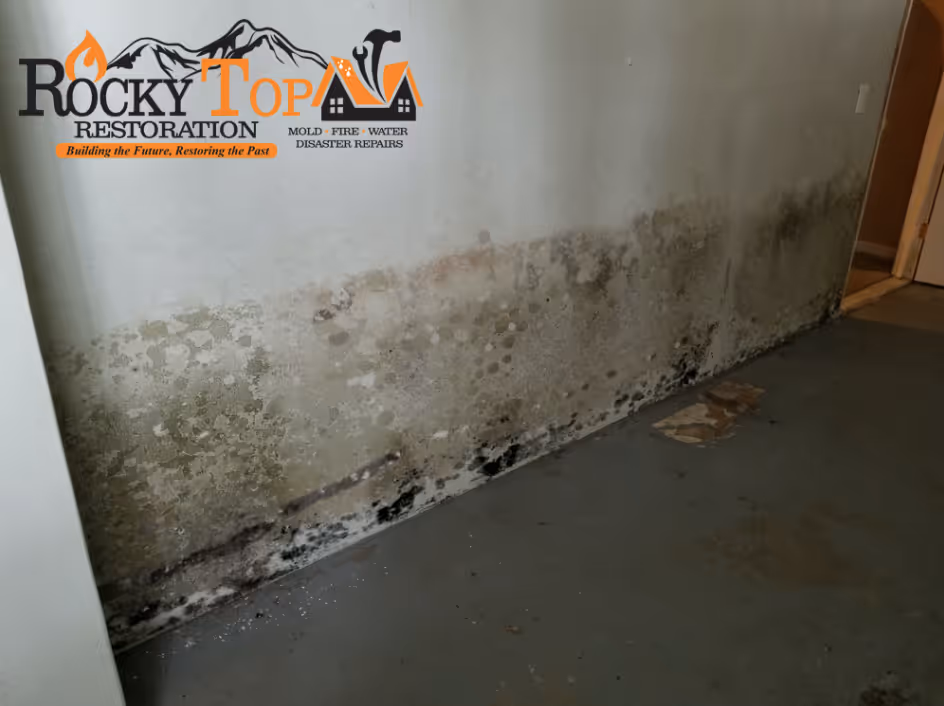 Safety First When Dealing With a Basement Flood