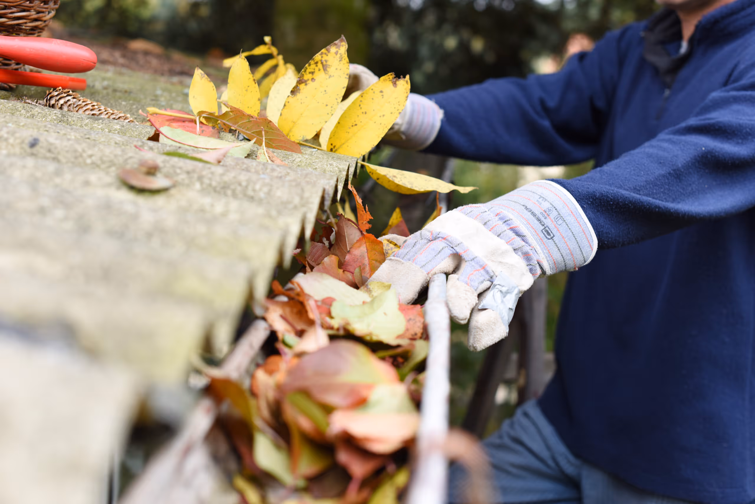 Why Cleaning Your Gutters Prevents Further Home Damage