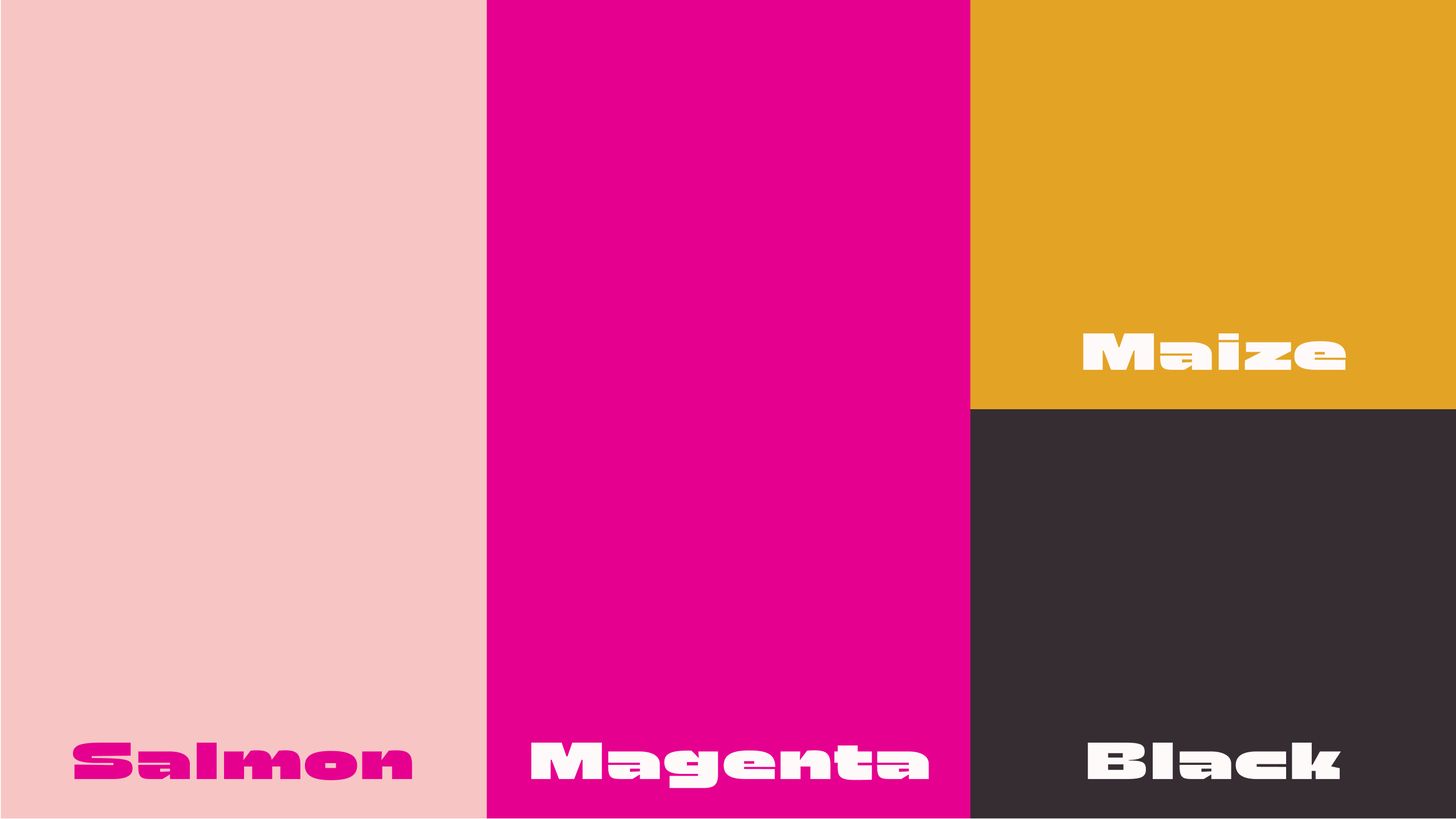 A color palette for the 'What's Your Superpower?' campaign featuring four colors: Salmon, Magenta, Maize, and Black. The Salmon color is shown on the left, Magenta in the middle, Maize at the top right, and Black at the bottom right. Each color block is labeled with its respective name in a bold white font.