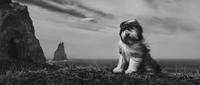 © Craig Turner-Bullock / Silver Award / Creative Division / Portrait Creative Individual /