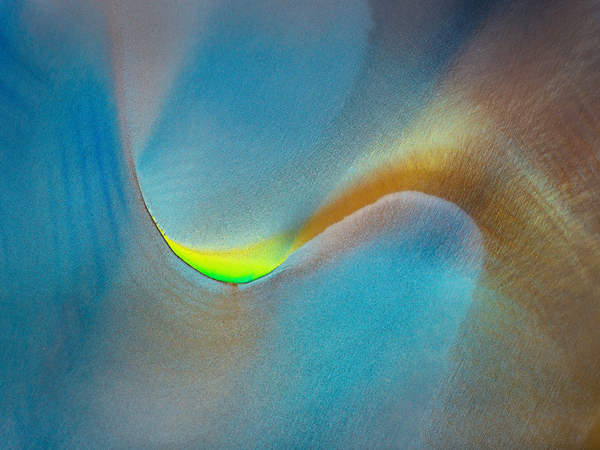 © Tony Hewitt / Silver Award / Creative Division / Open Creative /