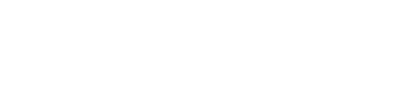 Salt Logo