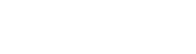 Salt Logo