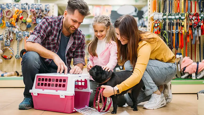 Petz's digital sales reach 40% of its gross revenue with Sensedia