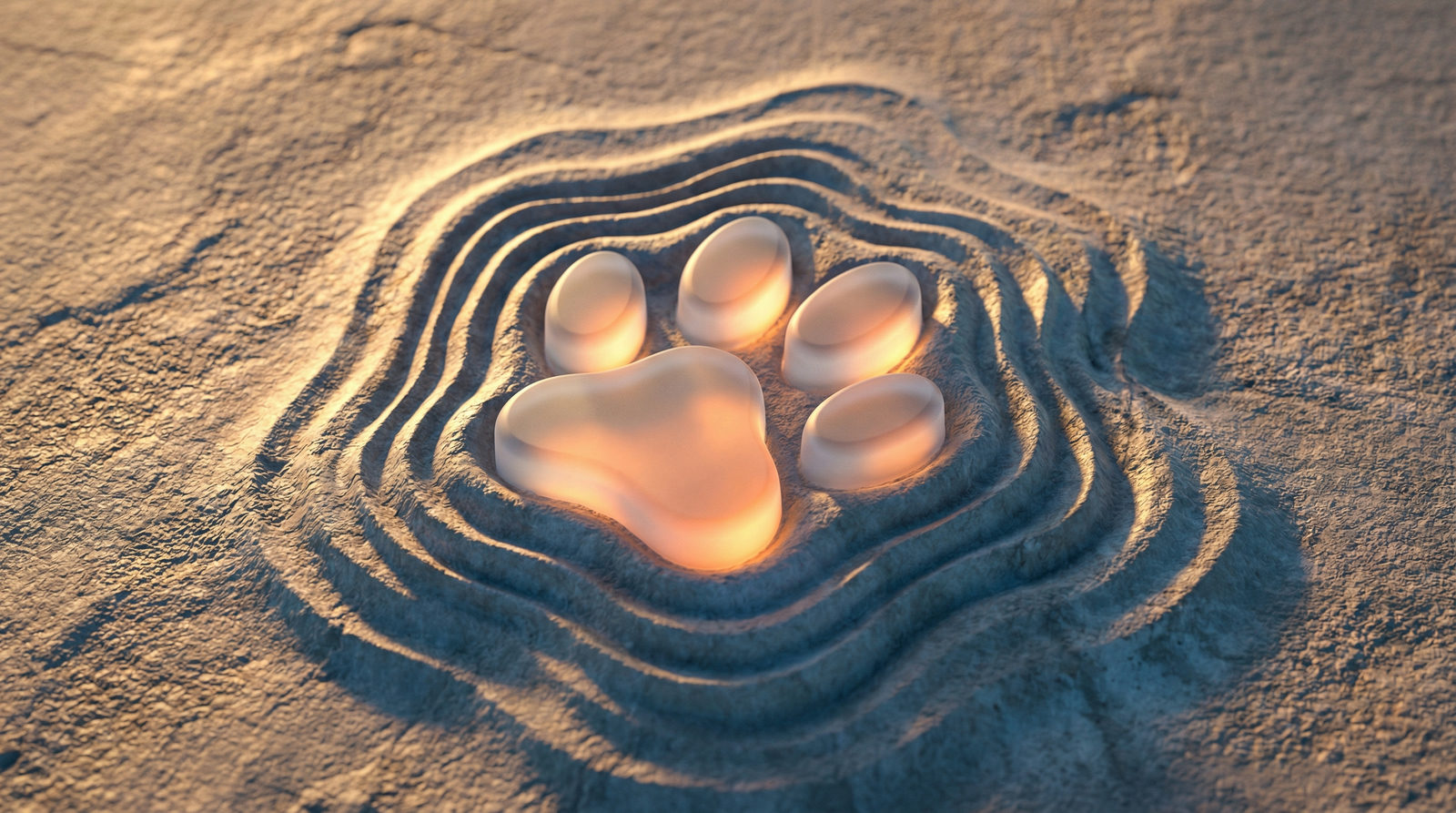 Program lojalnościowy w sklepie zoologicznym: jak zwiększyć LTV i wartość klienta