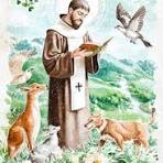 Animals & Angels