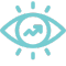 Our Vision Icon