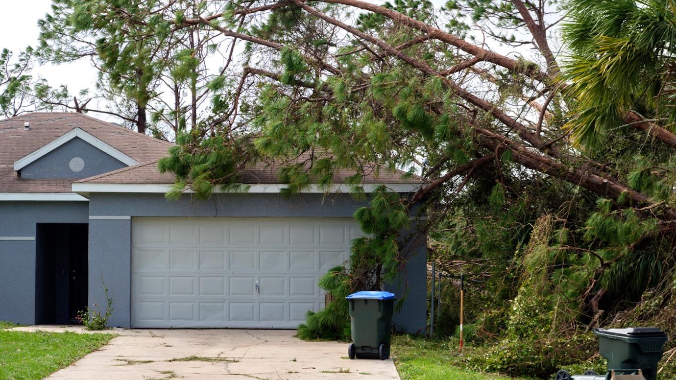 A tree fallen over a garageAI-generated content may be incorrect.