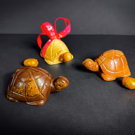 Ding-dong ! Les cloches sont passées et il est l'heure pour les petits et les grands de partir à la chasse aux tortues au chocolat !