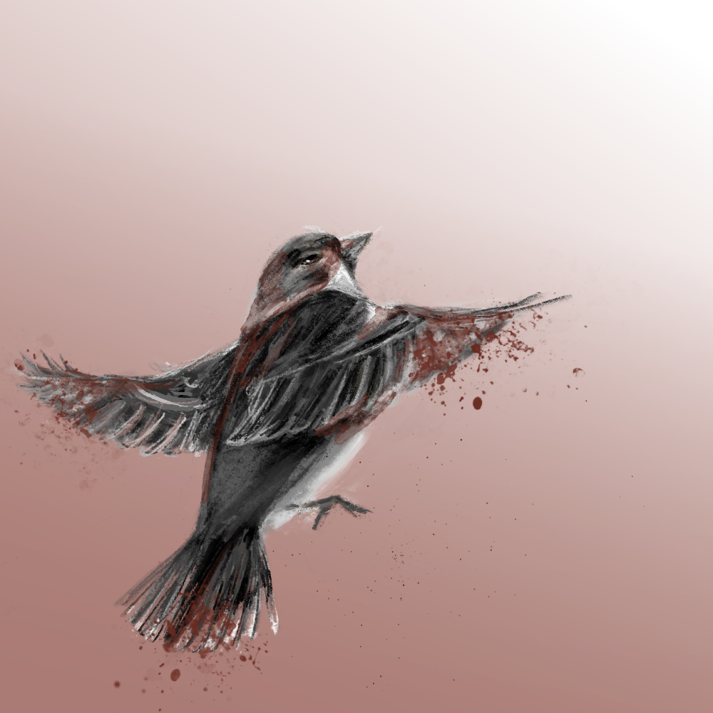 An illustration of a blood-stained sparrow mid-flying in the air, against a faint red background. Light is coming from the top right corner. 