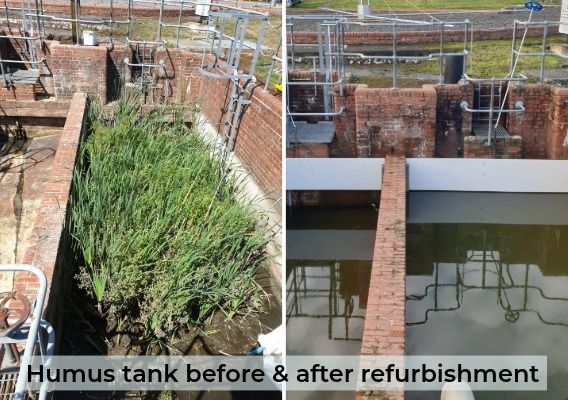 Before and after photo of overgrown and then cleared and refurbished humus tank