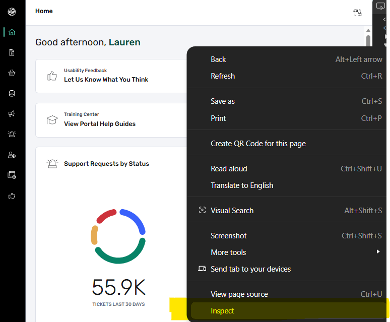 Inspect element in portal