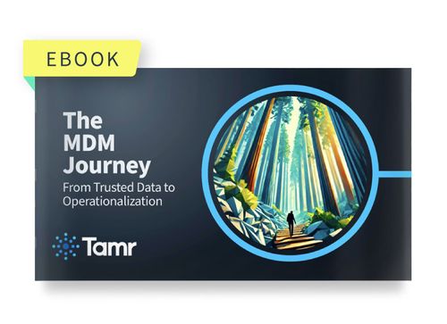 Ebook cover titled The MDM Journey from Trusted Data to Operationalization by Tamr with forest path illustration.