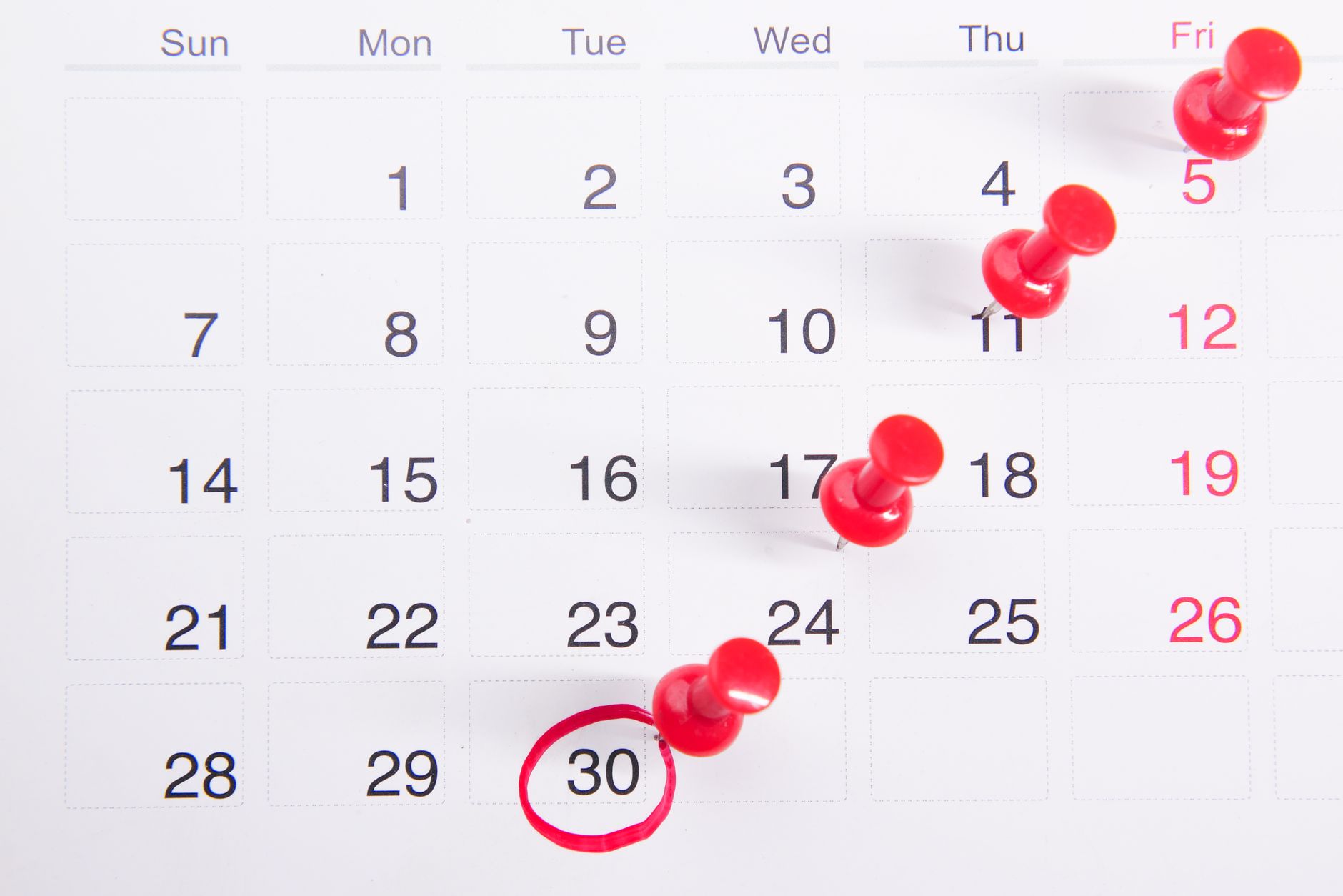 Calendar with booked meeting dates pinned