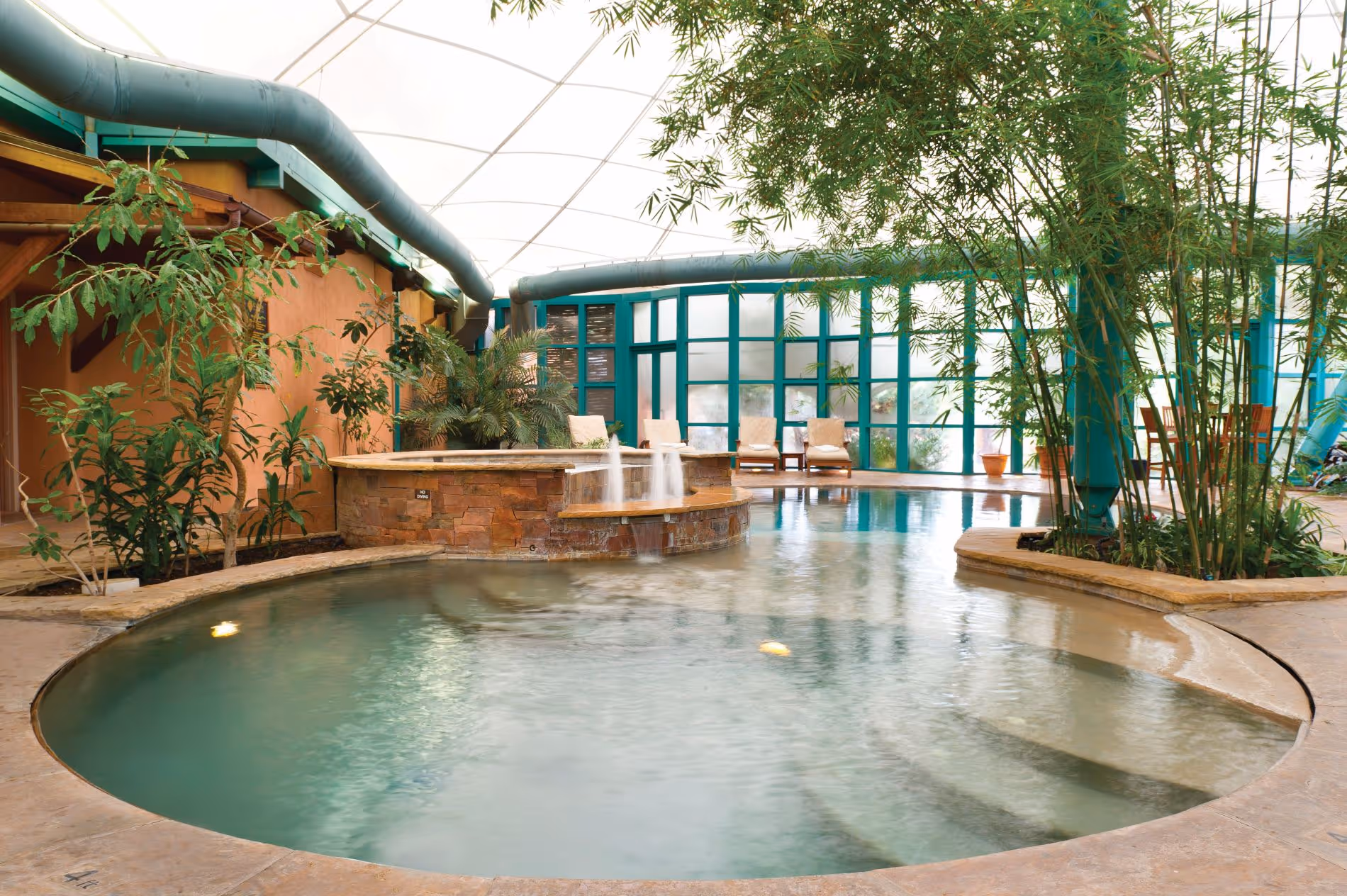 Indoor saltwater pool with plants surrounding it