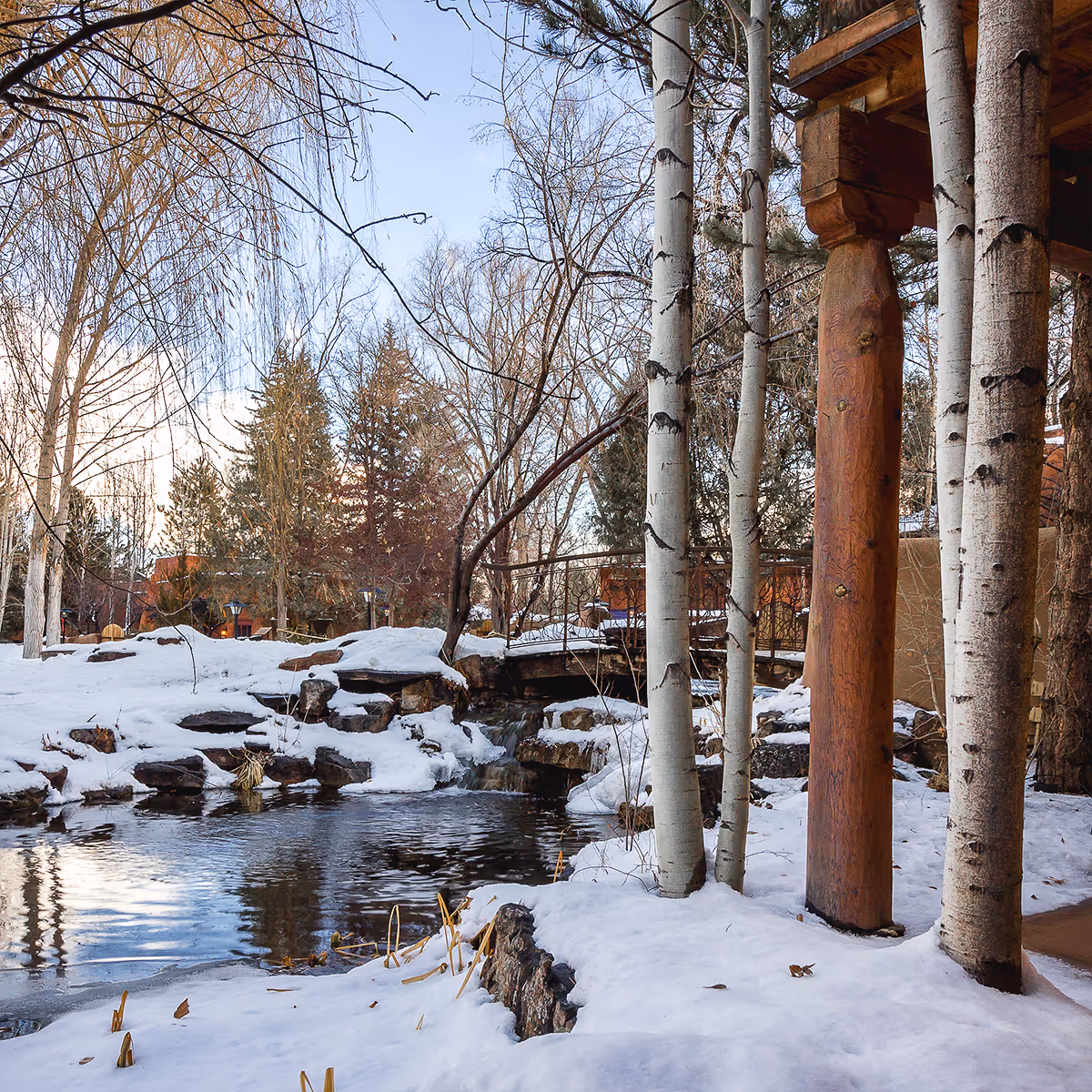 Grounds in with snow and trees