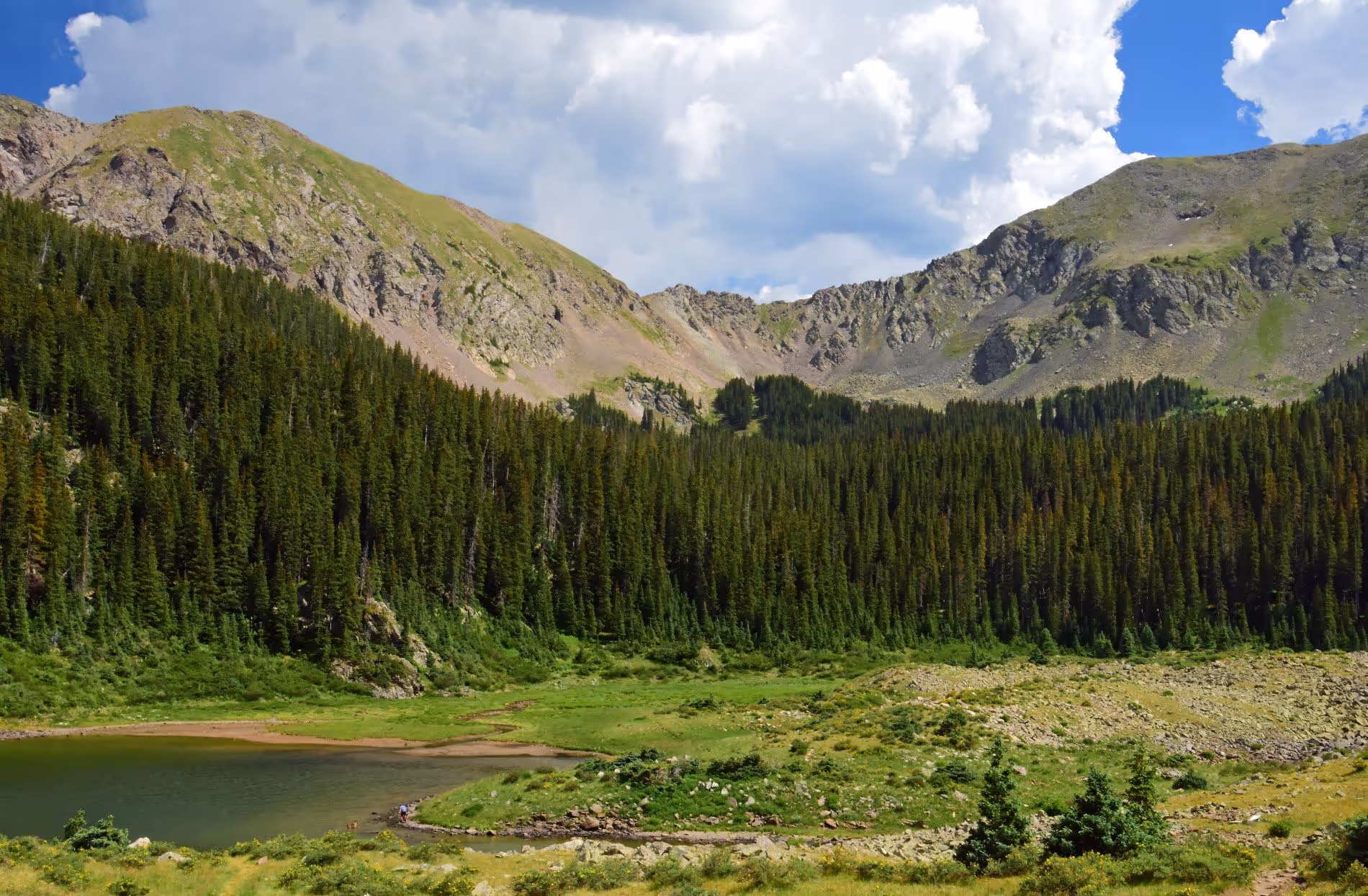 Mountains with green trees