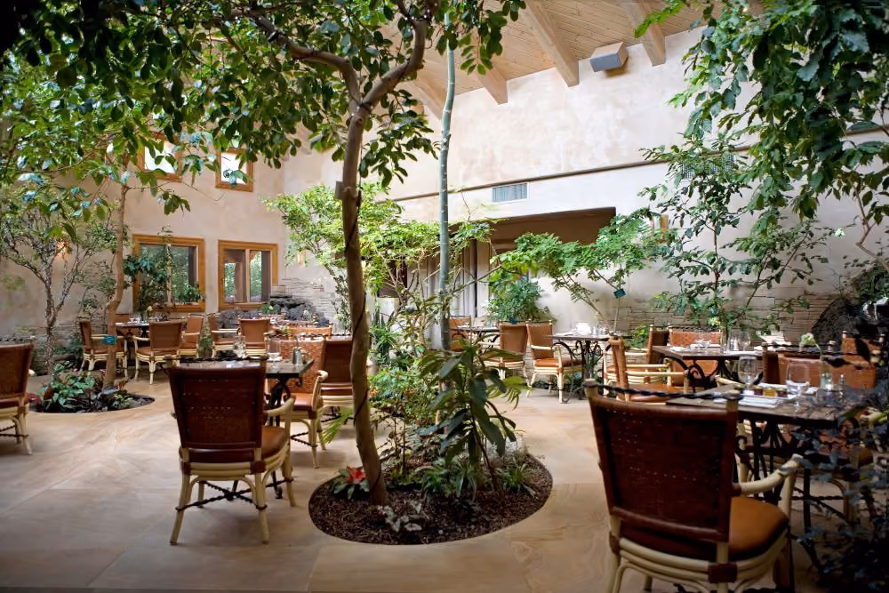 Lush plants in De La Tierras eco friendly dining room atrium