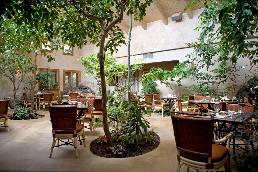 Lush plants in De La Tierras eco friendly dining room atrium