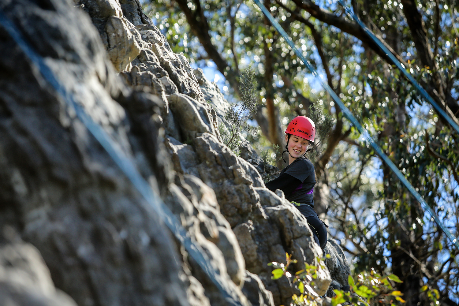 Person in red helmet rock climbing on a cliff face surrounded by trees and climbing ropes.