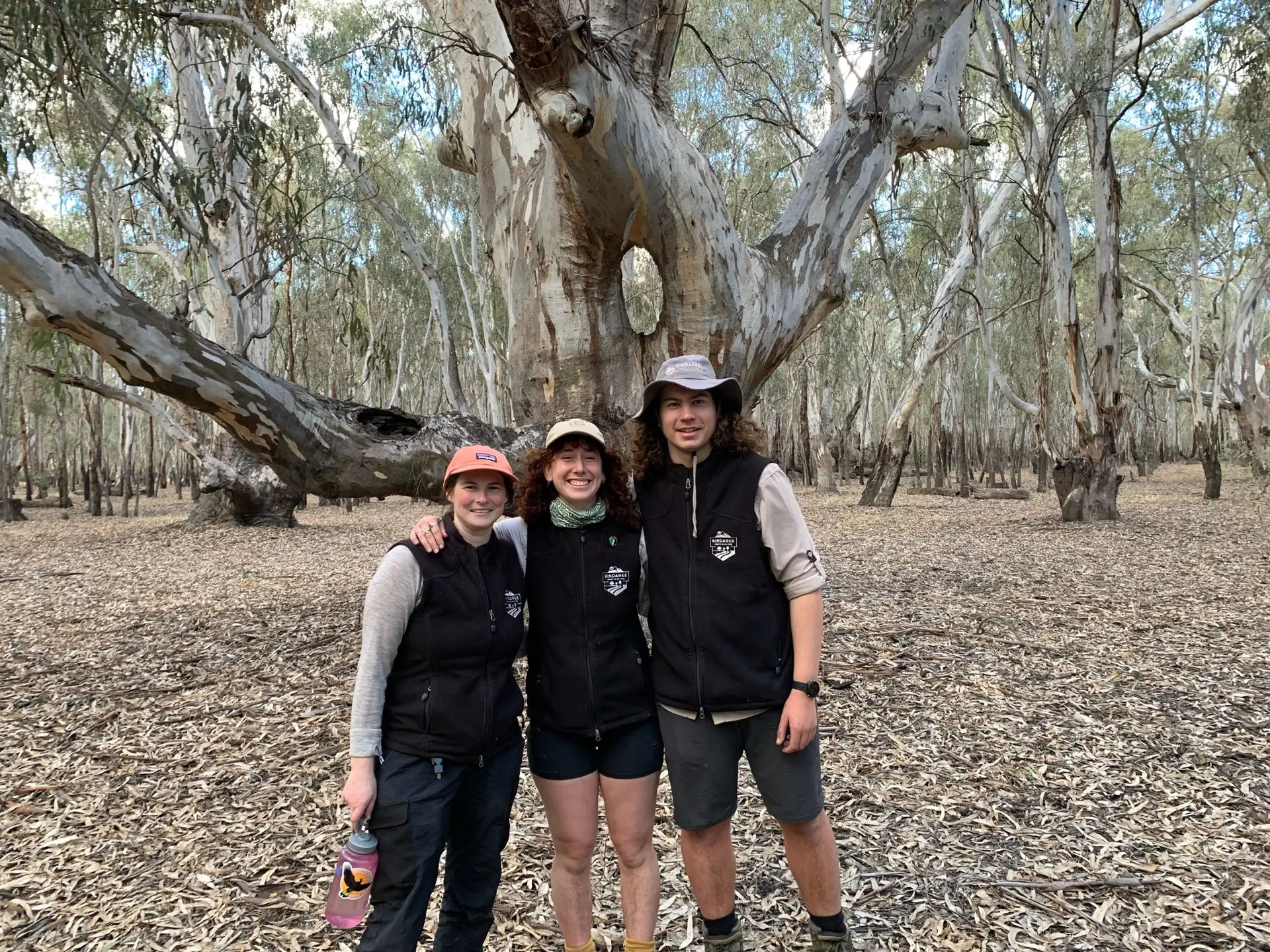 Three young people in matching dark vests and caps posing together in front of large eucalyptus trees in an Australian bushland.