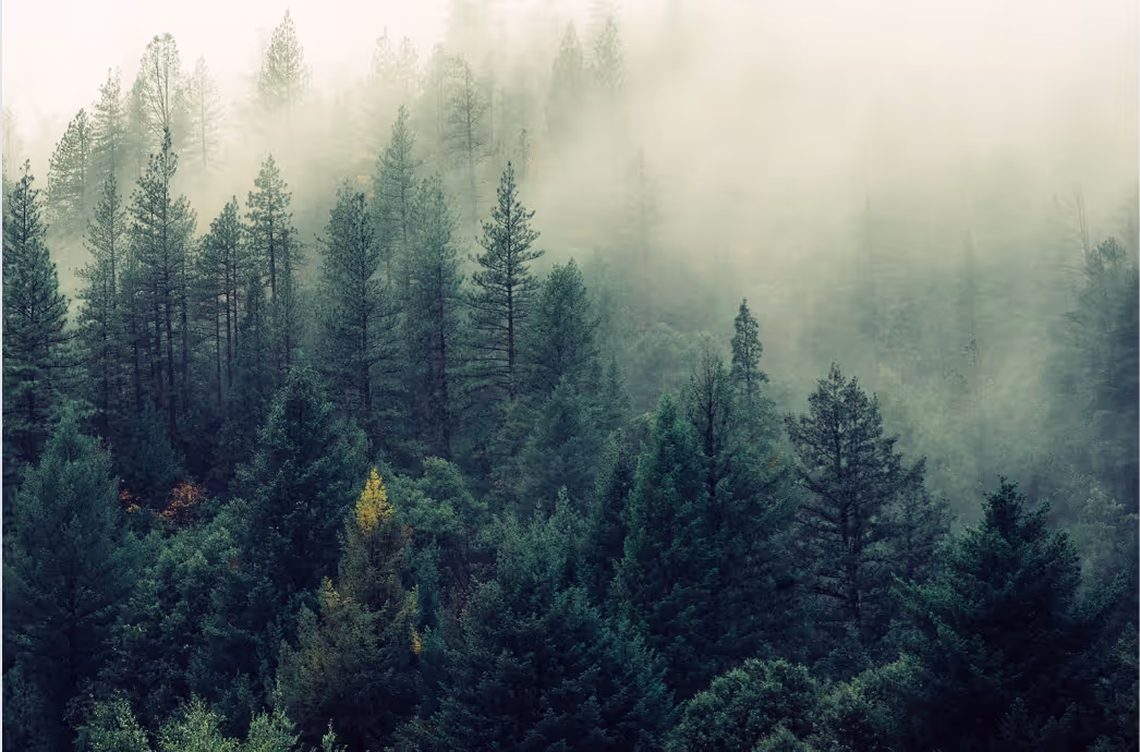 The Importance of Growth-as-a-Service for Clean Economy Businesses
