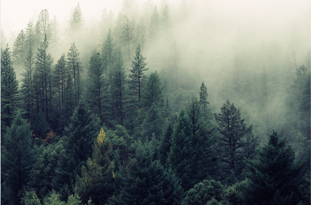 The Importance of Growth-as-a-Service for Clean Economy Businesses
