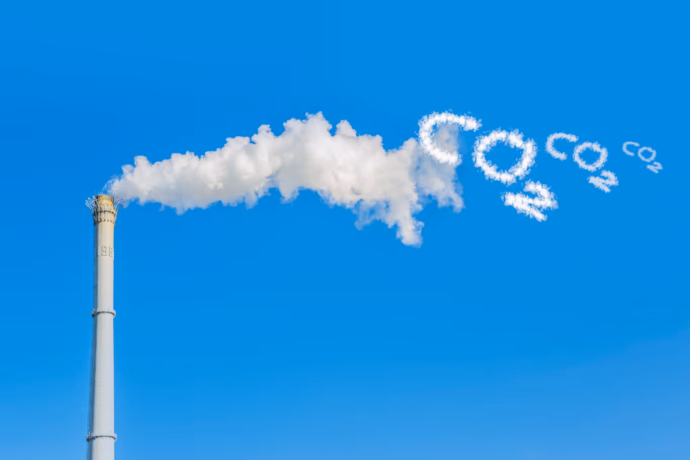 Carbon Credits and Impact Reporting: A Primer for Clean Economy Businesses