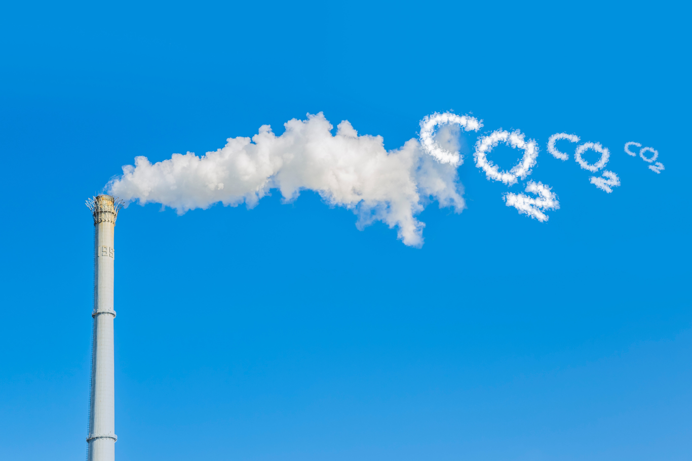 Carbon Credits and Impact Reporting: A Primer for Clean Economy Businesses