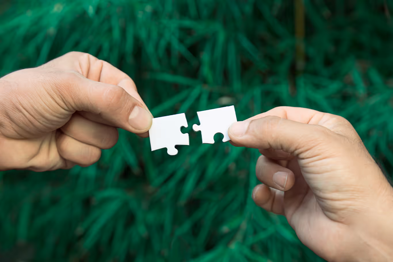 Business Development: How to Forge Strategic Partnerships in the Clean Economy
