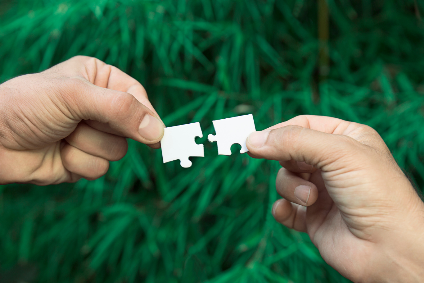 Business Development: How to Forge Strategic Partnerships in the Clean Economy