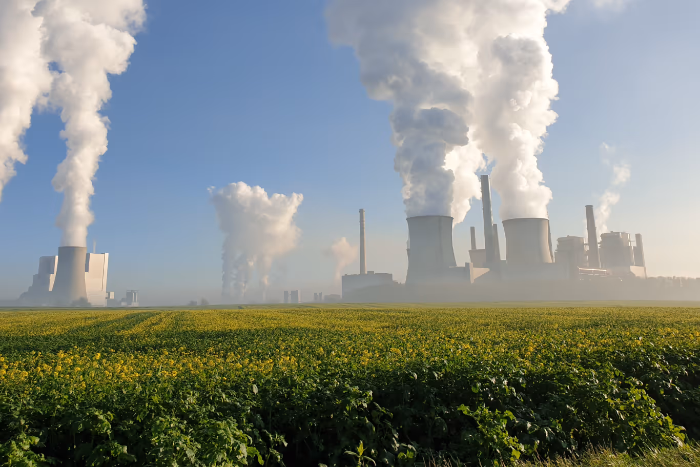 What is a Carbon Credit?