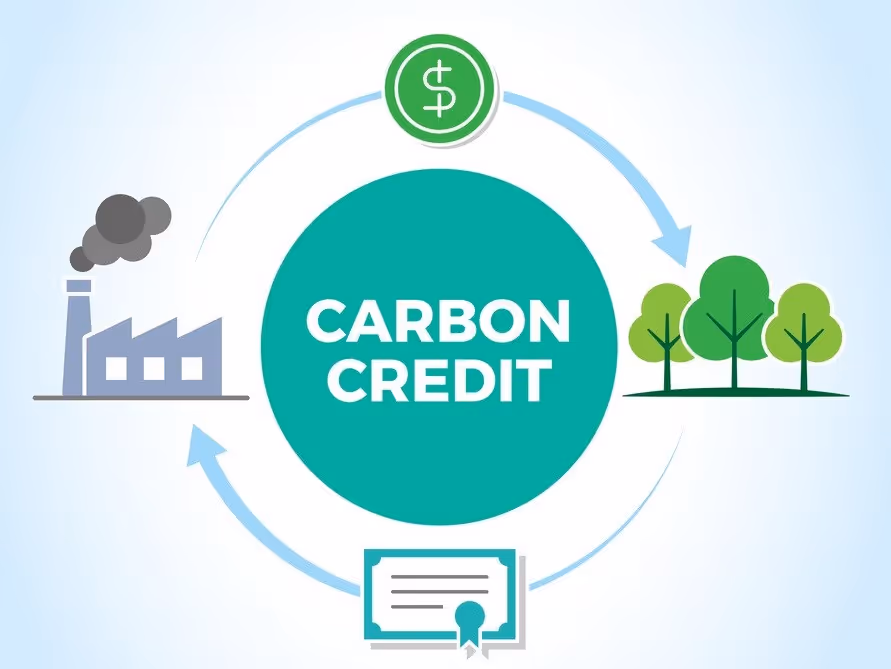Understanding the Worth of Carbon Credits and how they're priced.