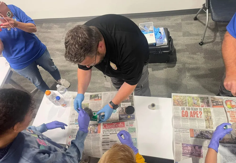 Police car and fireworks