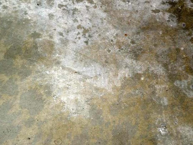 Damp, stained concrete garage floor with moisture marks and white efflorescence